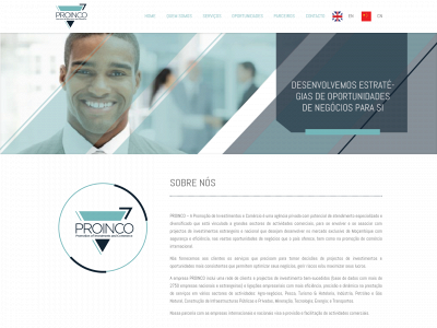 proinco.co.mz snapshot
