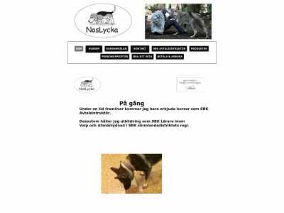 noslycka.se snapshot