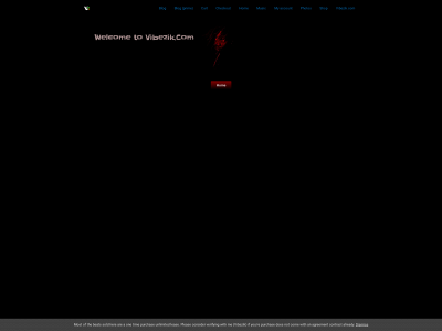 vibezik.com snapshot