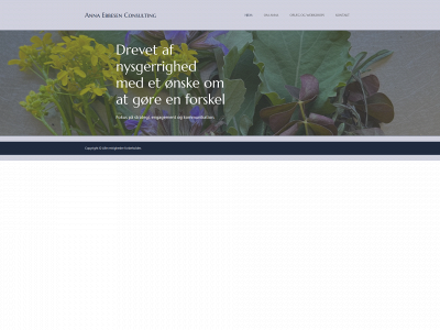 annaebbesen.dk snapshot