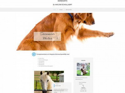 dierenartswalterschollaert.be snapshot