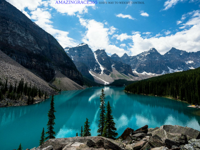amazingrace365.com snapshot