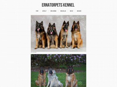 ernatorpetskennel.se snapshot