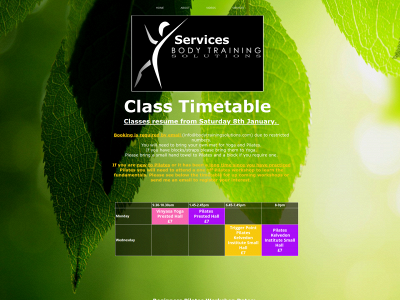bodytrainingsolutions.com snapshot