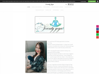 www.serenityyogabelfast.com snapshot