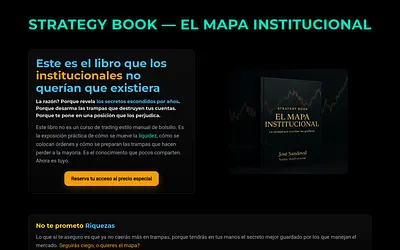 strategybookmi.com snapshot
