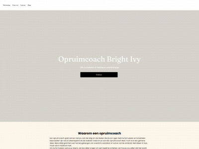 brightivysupport.nl snapshot