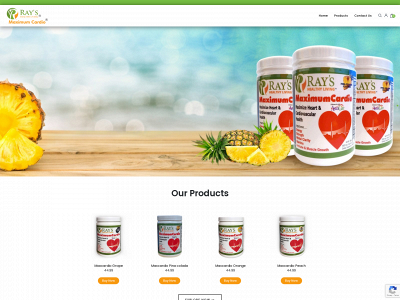 rayshealthyliving.com snapshot