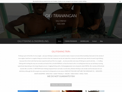 gilifishing.weebly.com snapshot