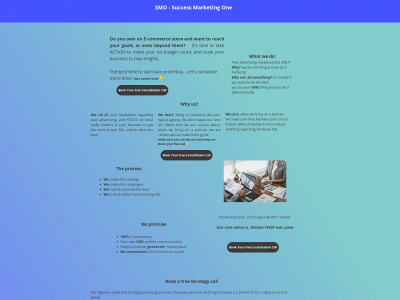 successmarketing.one snapshot
