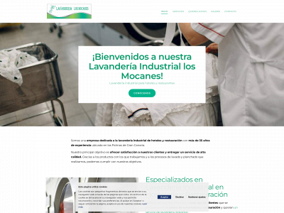 lavanderialosmocanes.es snapshot