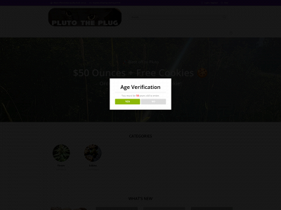 plutotheplug.com snapshot
