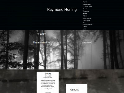 raymondhoning.com snapshot