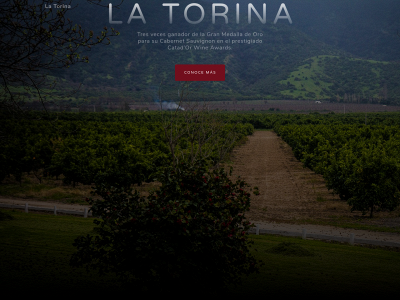 latorina.cl snapshot