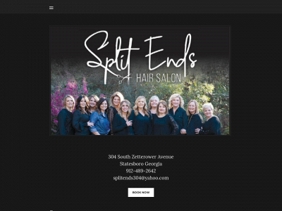www.splitendsstatesboro.com snapshot