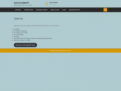 sueplunkett.com snapshot