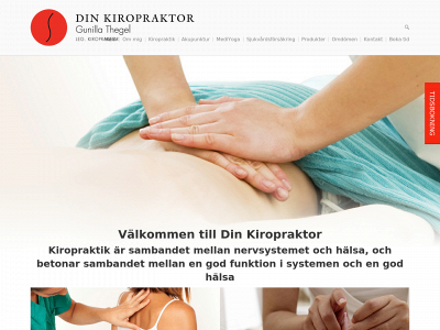 dinkiropraktorgavle.se snapshot