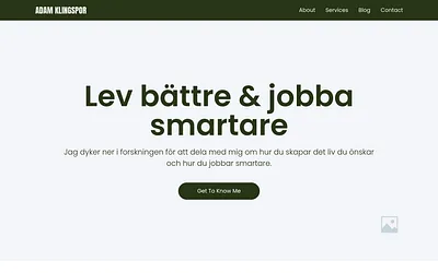 adamklingspor.se snapshot