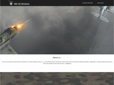 9th-ss.com snapshot