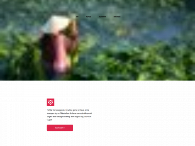 dennisoncigarettes.dk snapshot