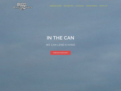 briggsbailbondsobx.com snapshot