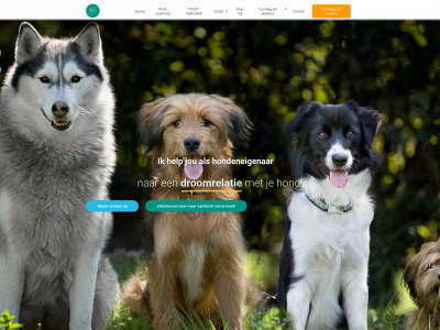 comeby.nl snapshot