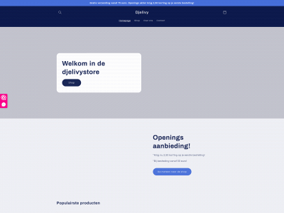 djelivy.nl snapshot