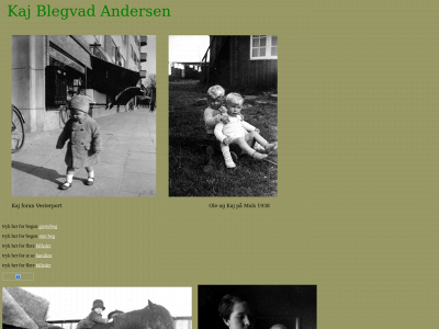 blegvad-andersen.com snapshot