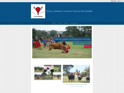 torosydehesa.es snapshot