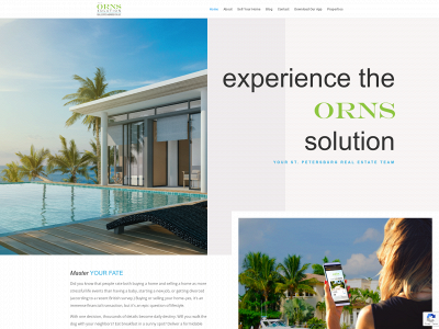 theornssolution.com snapshot