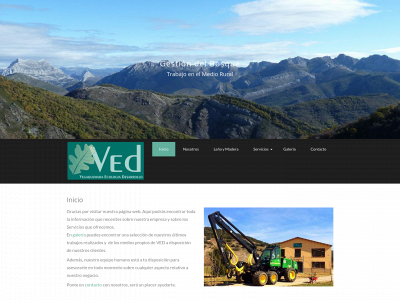 vedgrupo.com snapshot