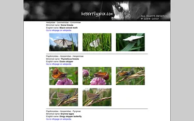 butterflypix.com snapshot