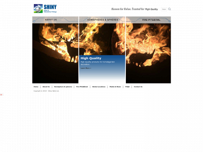 shinydecor.com snapshot
