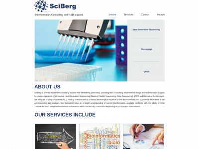 sciberg.com snapshot