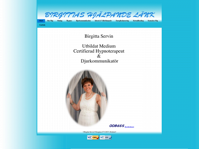birgittaservin.se snapshot
