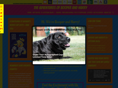 booperandharry.com snapshot