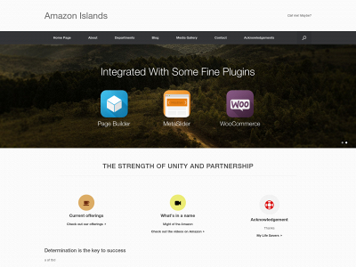 amazonislands.com snapshot