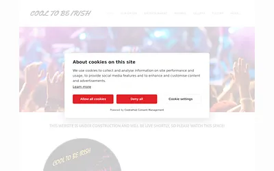 cooltobeirish.weebly.com snapshot