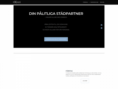 rexagon.se snapshot