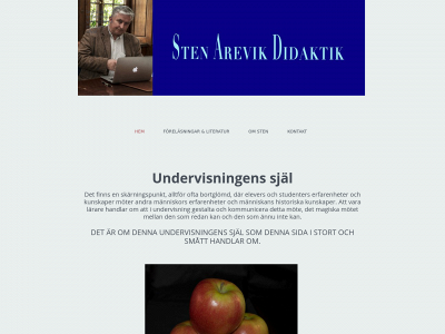 stenarevik.se snapshot