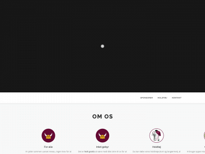 vikingci.dk snapshot