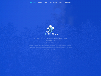 thetricicle.co.uk snapshot