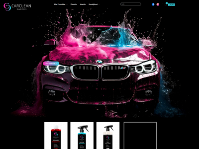 carcleansweden.se snapshot