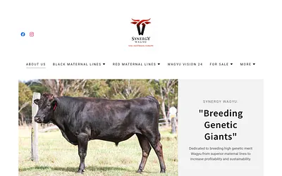 synergywagyu.com snapshot