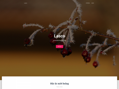 lasco.se snapshot
