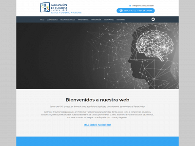 asociacionestuario.com snapshot