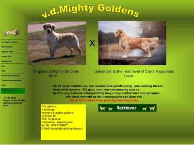 mighty-goldens.nl snapshot