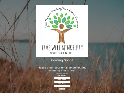 livewellmindfully.com snapshot