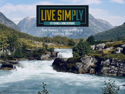 livesimfly.com snapshot