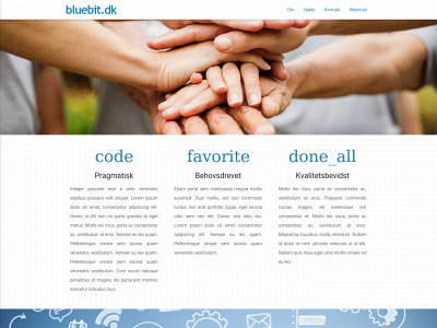 www.bluebit.dk snapshot